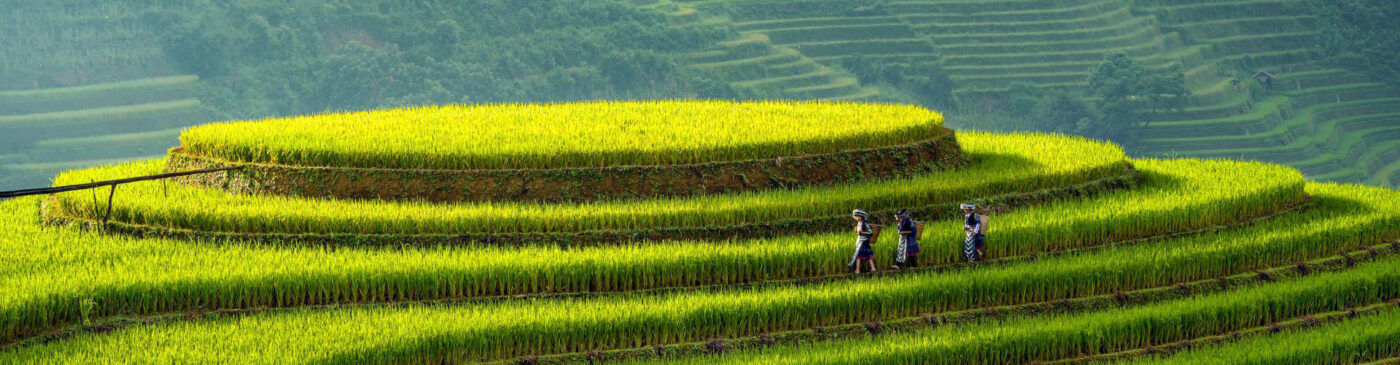 Samtour Vietnam