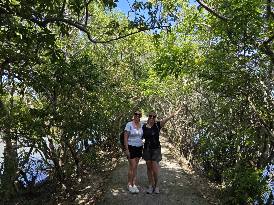 Walking Path In Ru Cha