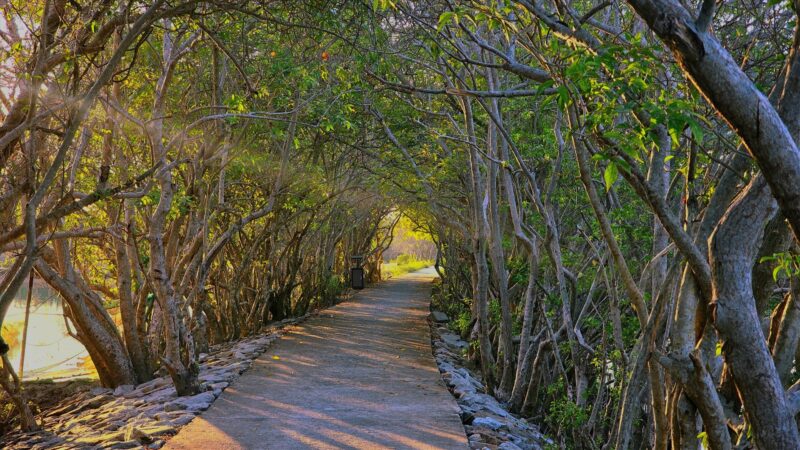 Hue City & Tam Giang Lagoon Private Full-Day Tour with Local Guide 5 Hue City & Tam Giang Lagoon Private Full-Day Tour with Local Guide